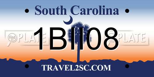 1BII08 South Carolina License Plate