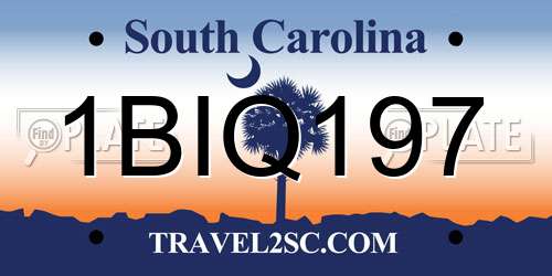 1BIQ197 South Carolina License Plate