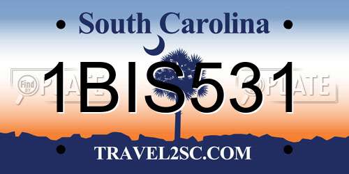1BIS531 South Carolina License Plate