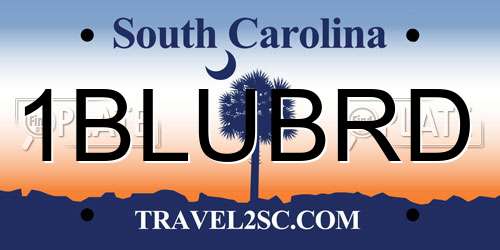 1BLUBRD South Carolina License Plate