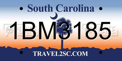 1BM3185 South Carolina License Plate