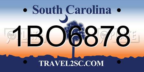 1BO6878 South Carolina License Plate