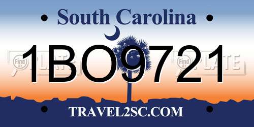 1BO9721 South Carolina License Plate