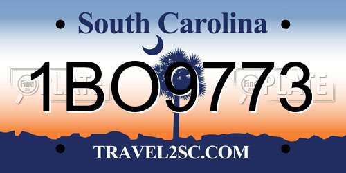 1BO9773 South Carolina License Plate