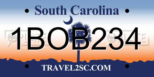 1BOB234 South Carolina License Plate