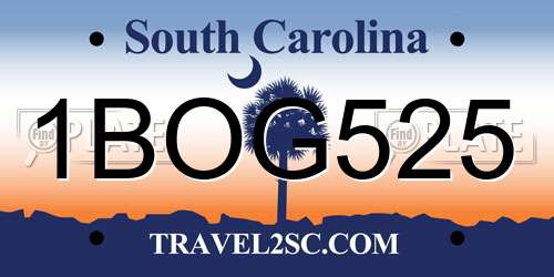 1BOG525 South Carolina License Plate