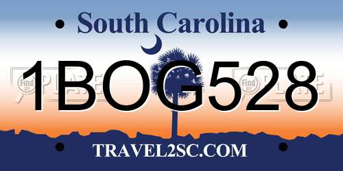 1BOG528 South Carolina License Plate