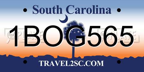 1BOG565 South Carolina License Plate