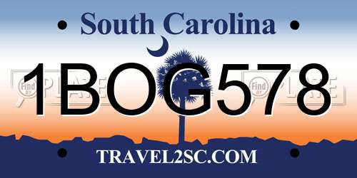 1BOG578 South Carolina License Plate