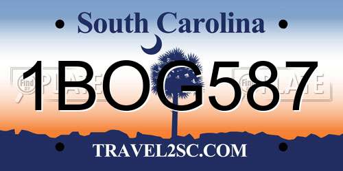 1BOG587 South Carolina License Plate