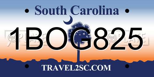1BOG825 South Carolina License Plate