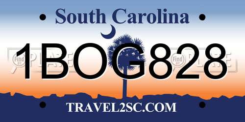 1BOG828 South Carolina License Plate