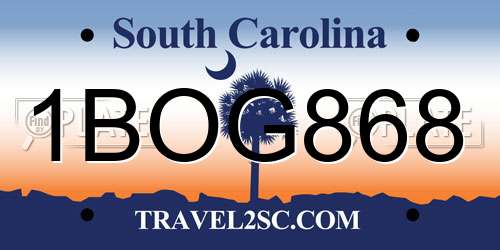 1BOG868 South Carolina License Plate
