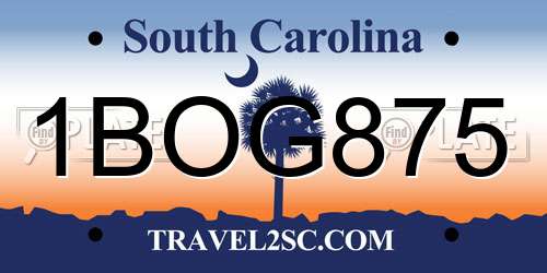 1BOG875 South Carolina License Plate