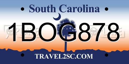 1BOG878 South Carolina License Plate