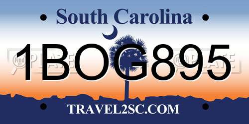 1BOG895 South Carolina License Plate