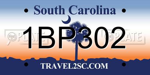 1BP302 South Carolina License Plate