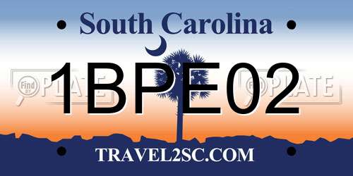 1BPE02 South Carolina License Plate