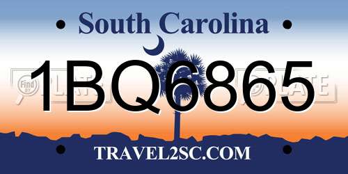 1BQ6865 South Carolina License Plate