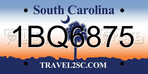 1BQ6875 South Carolina License Plate