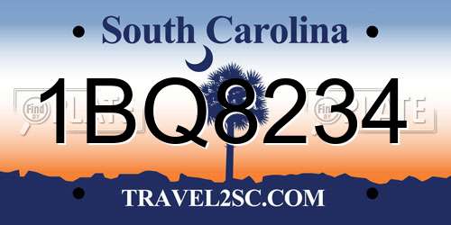 1BQ8234 South Carolina License Plate