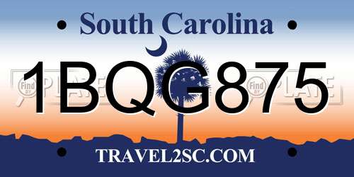 1BQG875 South Carolina License Plate