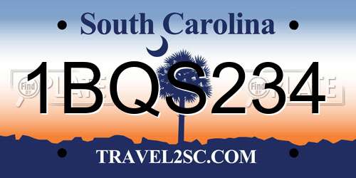 1BQS234 South Carolina License Plate