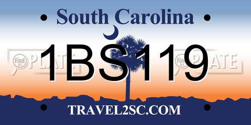 1BS119 South Carolina License Plate
