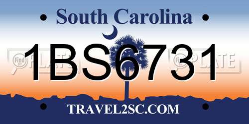 1BS6731 South Carolina License Plate