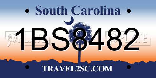 1BS8482 South Carolina License Plate