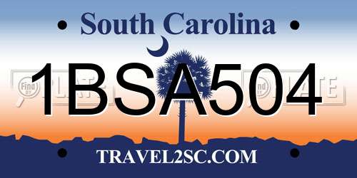 1BSA504 South Carolina License Plate