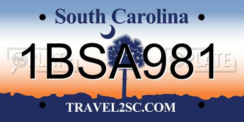 1BSA981 South Carolina License Plate