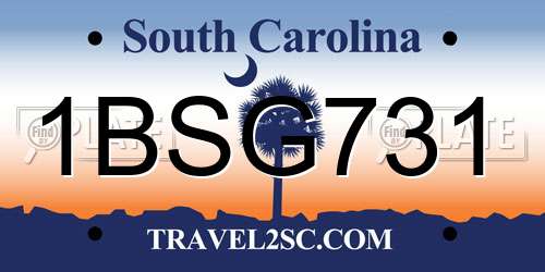 1BSG731 South Carolina License Plate