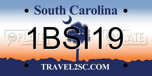 1BSI19 South Carolina License Plate