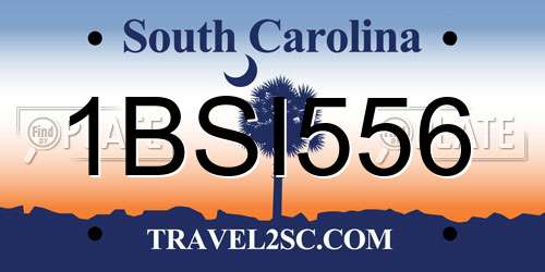 1BSI556 South Carolina License Plate