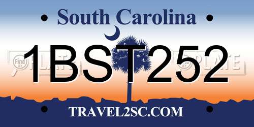 1BST252 South Carolina License Plate