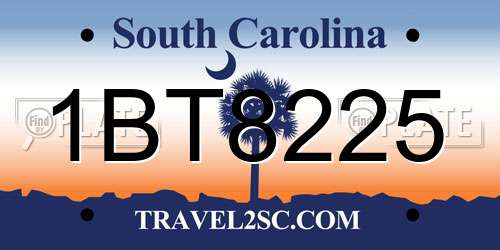 1BT8225 South Carolina License Plate