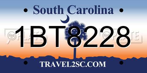 1BT8228 South Carolina License Plate
