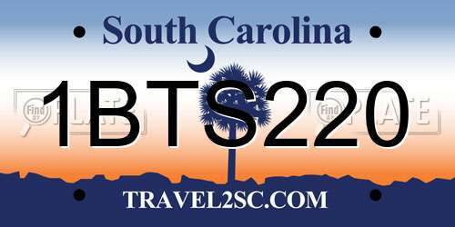 1BTS220 South Carolina License Plate