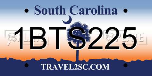 1BTS225 South Carolina License Plate