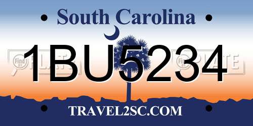 1BU5234 South Carolina License Plate