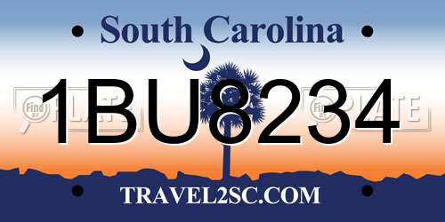 1BU8234 South Carolina License Plate