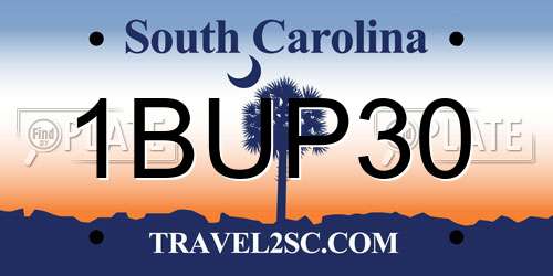 1BUP30 South Carolina License Plate