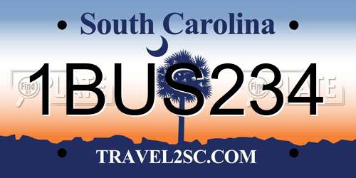 1BUS234 South Carolina License Plate