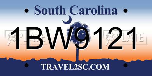1BW9121 South Carolina License Plate