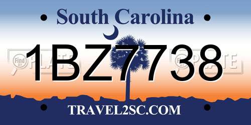 1BZ7738 South Carolina License Plate