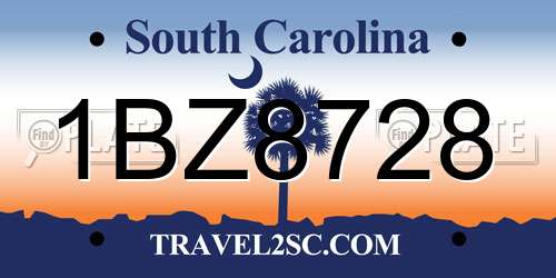 1BZ8728 South Carolina License Plate