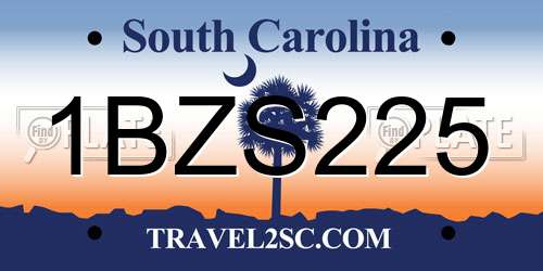 1BZS225 South Carolina License Plate