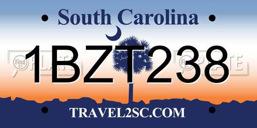 1BZT238 South Carolina License Plate