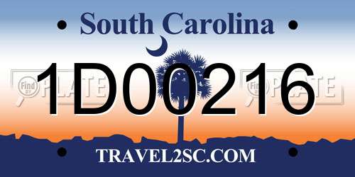 1D00216 South Carolina License Plate